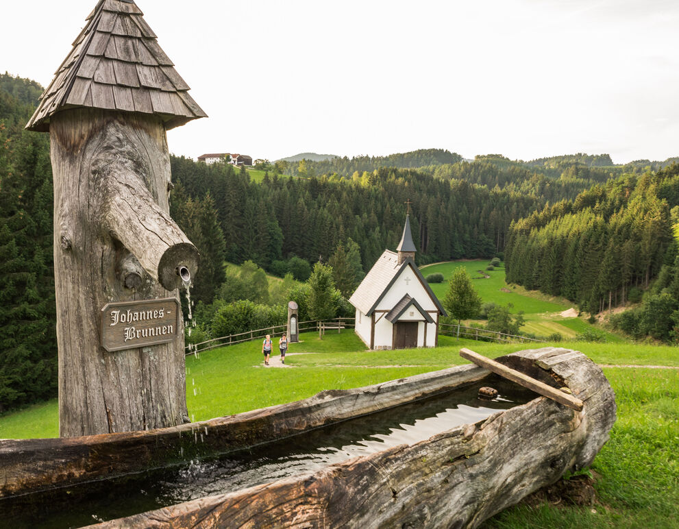 Blick auf den Johannesbrunnen in Pierbach und die Kapelle.